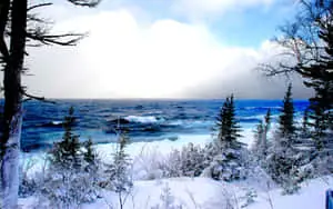 Stunning Winter Wonderland