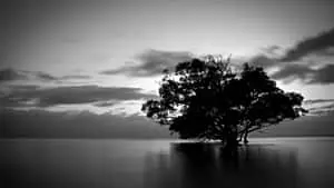 Stunning Black and White Landscape Photography