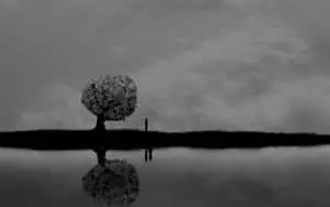 Serene Monochromatic Landscape