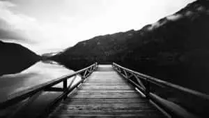 Serene Monochromatic Nature View 
