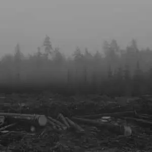 Stunning Monochromatic Landscape