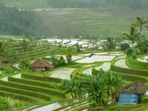  Blissful Scenic Landscape 