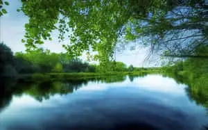 Serene and beautiful nature landscape