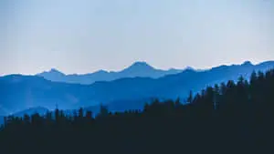 "A Breathtaking View of The Blue Mountains"