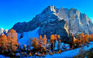 Experience Breathtaking Views of Blue Mountain 