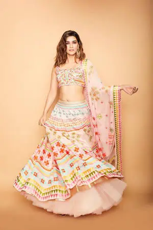 Blush Sari Kriti Sanon HD