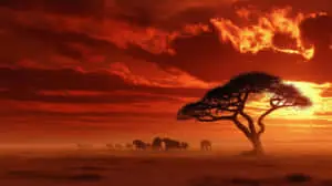 Breathtaking African Savannah Sunset with Elephant Family Silhouettes