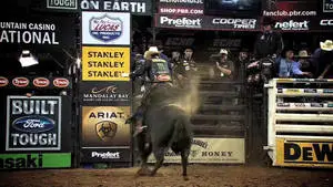 Best Bucking Bull Riding