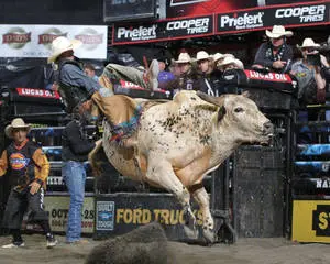 Bull Riding Show
