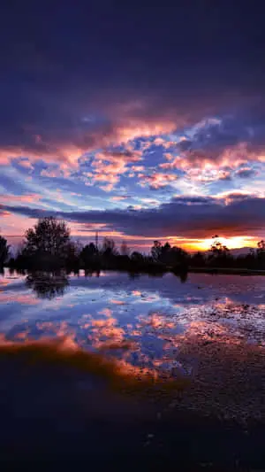 Captivating Sunset Horizon