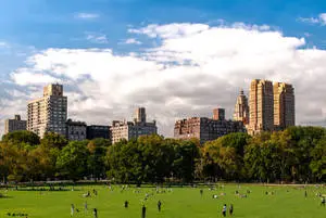 Central Park Landscape