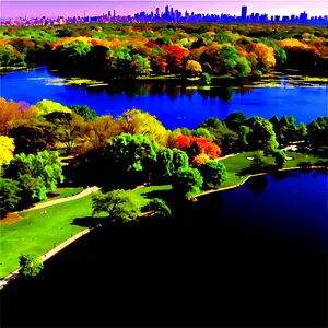 Central Park New York PNG wsj