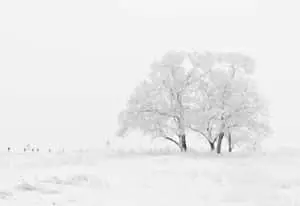 Feel the frigid air of winter