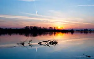 Enjoy the Peaceful View of an Enchanted Cool Landscape