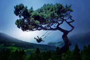 Soak in the beauty of this cool landscape