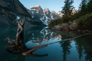 A Cool Landscape in Nature