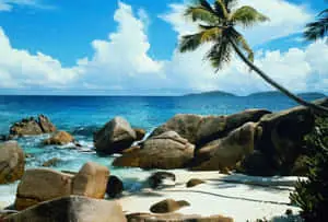 Enjoy the Serenity of Nature
