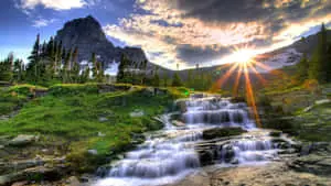 Soaking up the beauty of nature