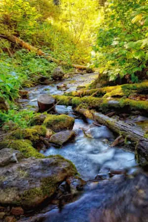 Admire the serene beauty of nature