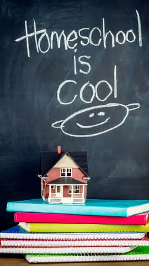 Feel The Cool