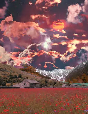 Cottagecore Dreamscape