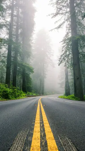 Captivating Country-Side Scenery on iPhone