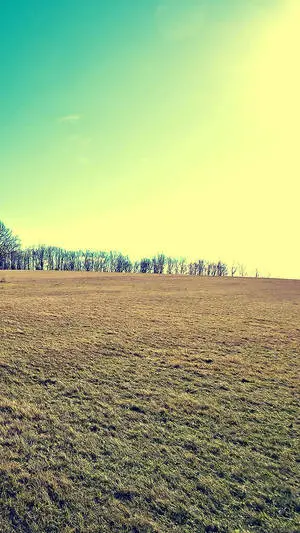 Rustic Vibes - Country Landscape Captured On iPhone