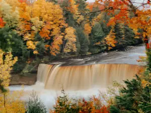 Cute Fall Aesthetic Landscape View