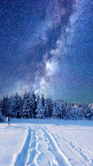 Cozy Winter Wonderland