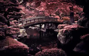 A gloomy evening in a Japanese city
