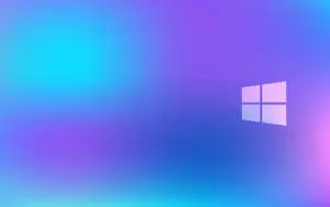 Delightful Windows 11 Logo