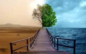 Exploring Life’s Disparate Possibilities