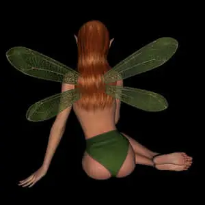 Fantasy_ Fairy_ Back_ View