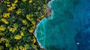 Fantasy Island background