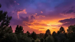 Fiery Twilight Canopy
