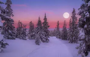 Enchanting Full Moon Over a Winter Wonderland