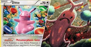 Funny Pokemon Ditto Picture
