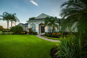 A Serene Green Landscape