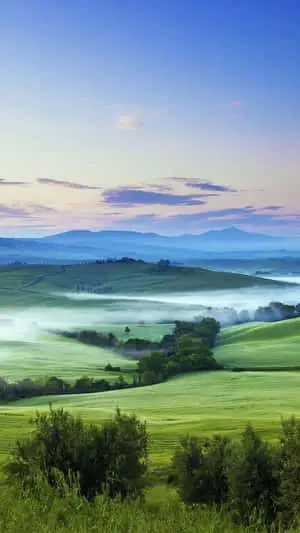 Green Land Nature Iphone