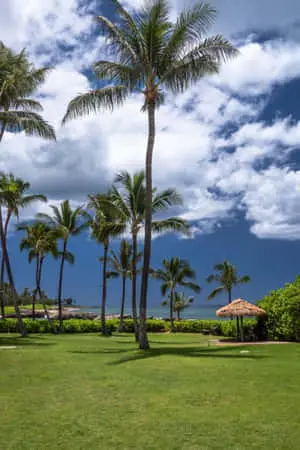 Hawaii Resort iPhone