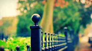 Mesmerizing High Definition Photography of a Black Fence