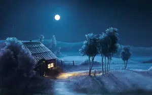 Enjoying the Peaceful Country Life at Night