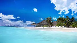 HD Landscape Vivid Blue Beach