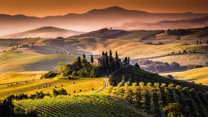Breathtaking Sunset over a Lush Nature Landscape