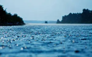 A peaceful approach to the sea in the wake of rain.