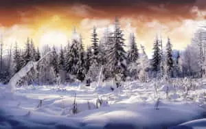 HD Winter Background Snowy Landscape Illustration