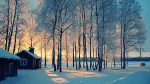 HD Winter Background Cabins With Sunset Scenery