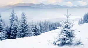 Winter Landscape hd wallpapers