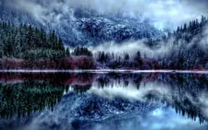 HD Winter Background Cinematic Foggy Lake Forest With Mountains