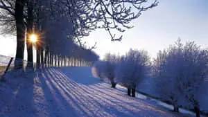 HD Winter Background Slope Hill